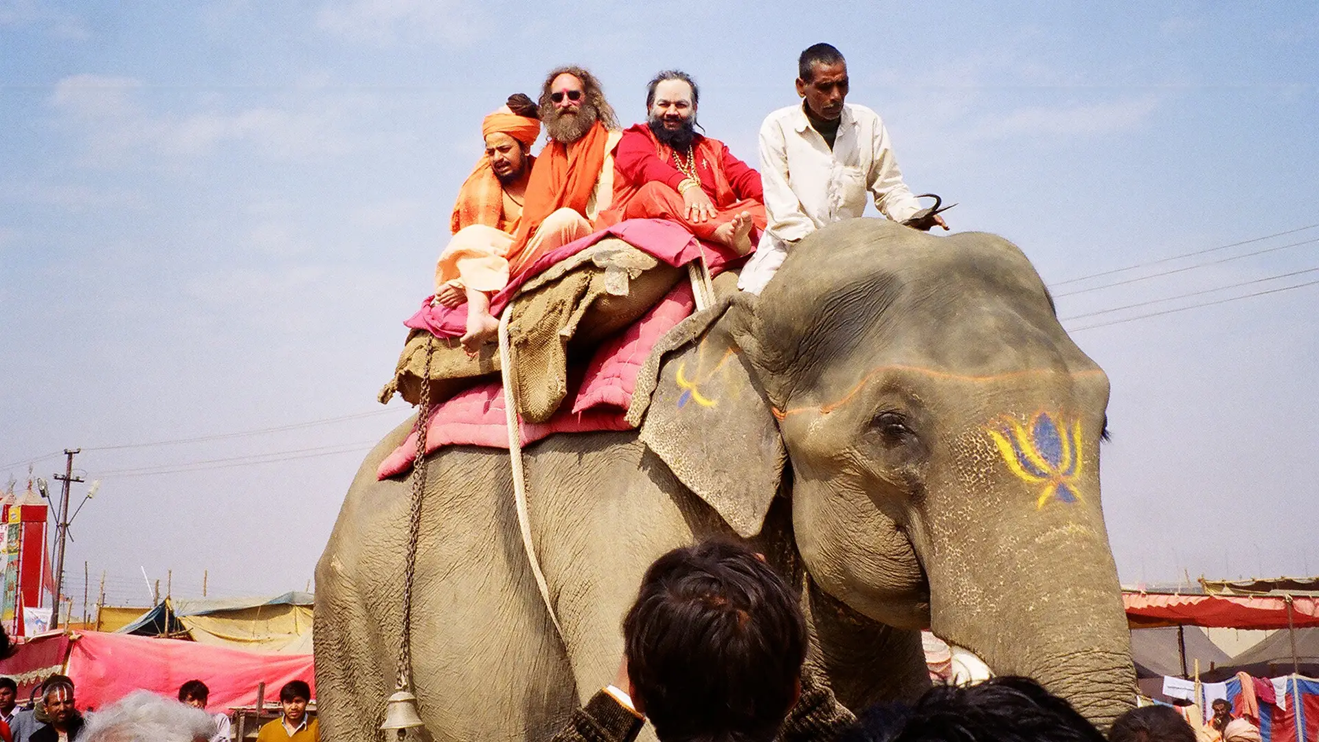 32620019_1920x1080_elephant
