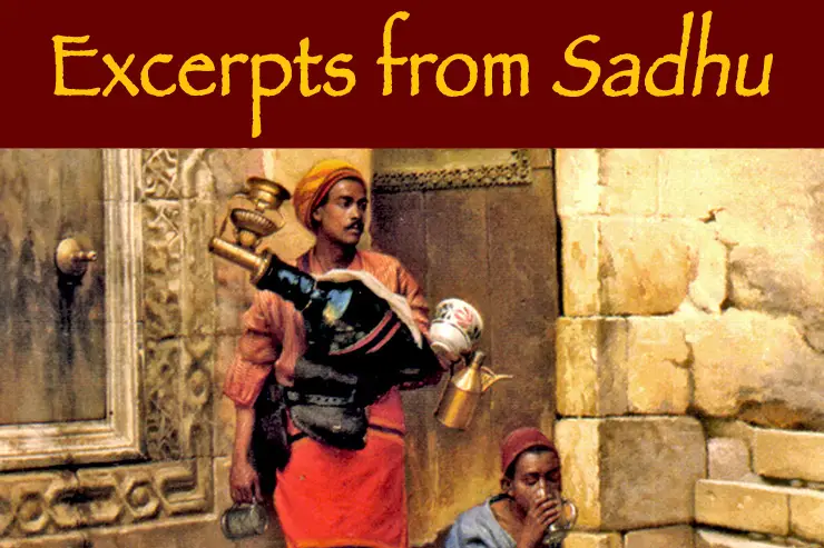 sadhu excerpts