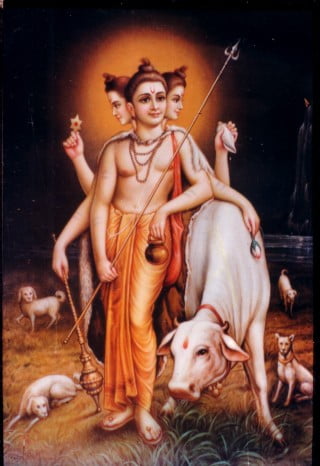 great witness guru dattatreya