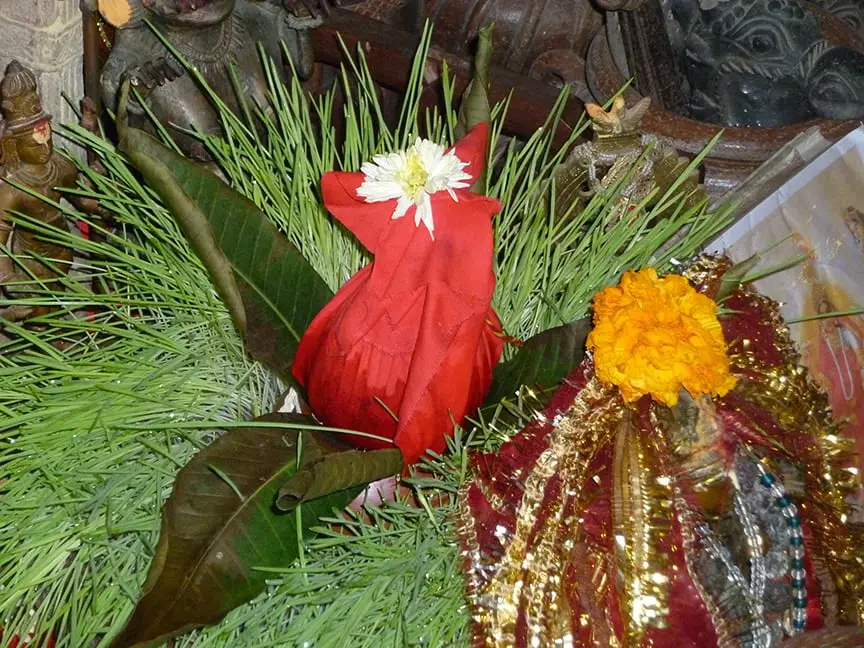 Navratri Sprouts