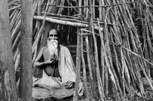 Yogi